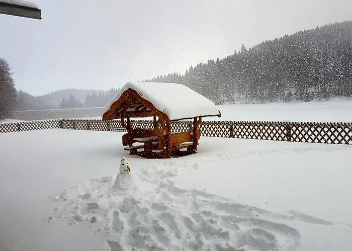 Appartement Holidayhaus Luetsche