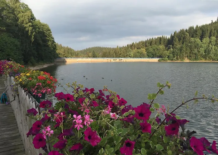 Holidayhaus Luetsche Appartement