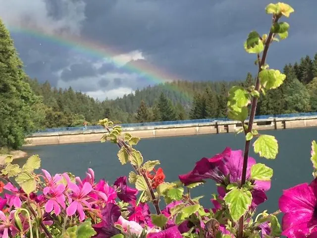 Holidayhaus Luetsche *